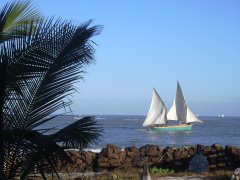 Sailboat seen from the Chez Maggie Hotel in Morondava / Madagascar