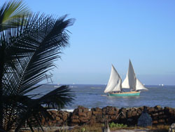 Sailboat near Morondava beach in Madagascar